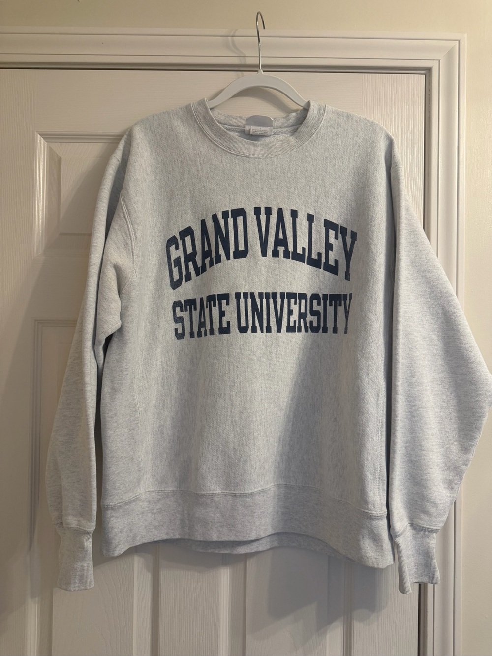 Vintage Grand Valley State University Champion Reverse Weave Crewneck Large 90s